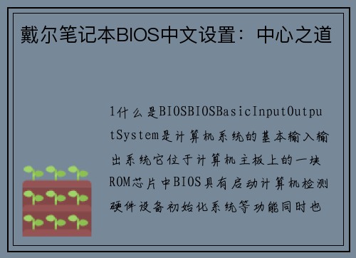 戴尔笔记本BIOS中文设置：中心之道